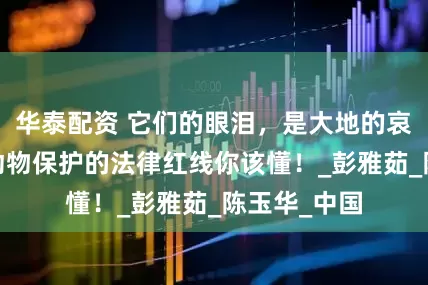 华泰配资 它们的眼泪，是大地的哀伤——野生动物保护的法律红线你该懂！_彭雅茹_陈玉华_中国