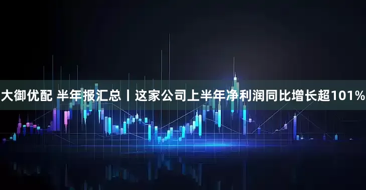 大御优配 半年报汇总丨这家公司上半年净利润同比增长超101%