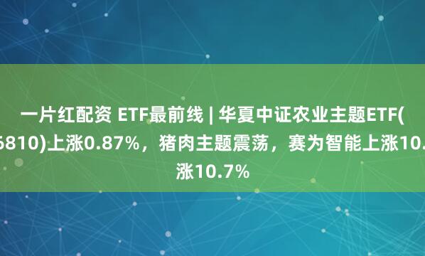 一片红配资 ETF最前线 | 华夏中证农业主题ETF(516810)上涨0.87%，猪肉主题震荡，赛为智能上涨10.7%
