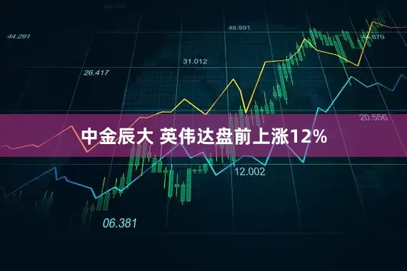 中金辰大 英伟达盘前上涨12%
