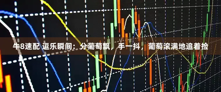 牛8速配 逗乐瞬间：分葡萄飘，手一抖，葡萄滚满地追着捡